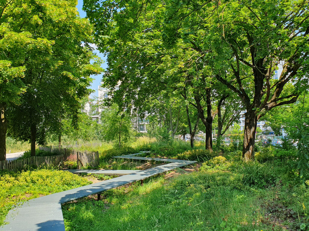 Détail aménagement du Parc de l'oiseau, Orly - Vé Paysages