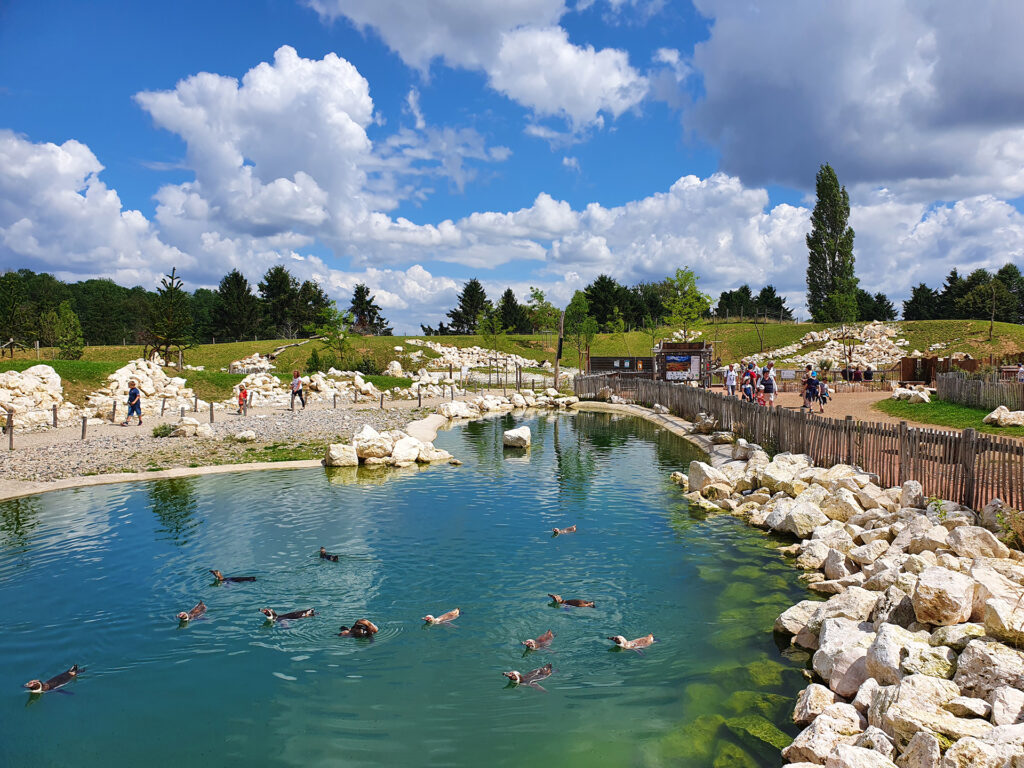 Le bassin zone Patagonia Parrot World de Crécy la Chapelle - Vé paysages