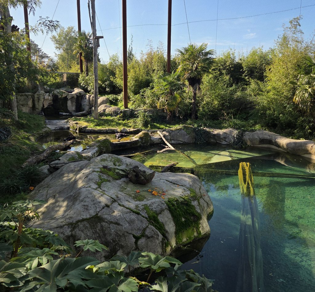 Agence paysagiste Vé Paysages - Parrot World